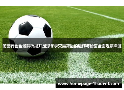 冬窗转会全景解析揭开足球冬季交易背后的运作与秘密全面观察深度